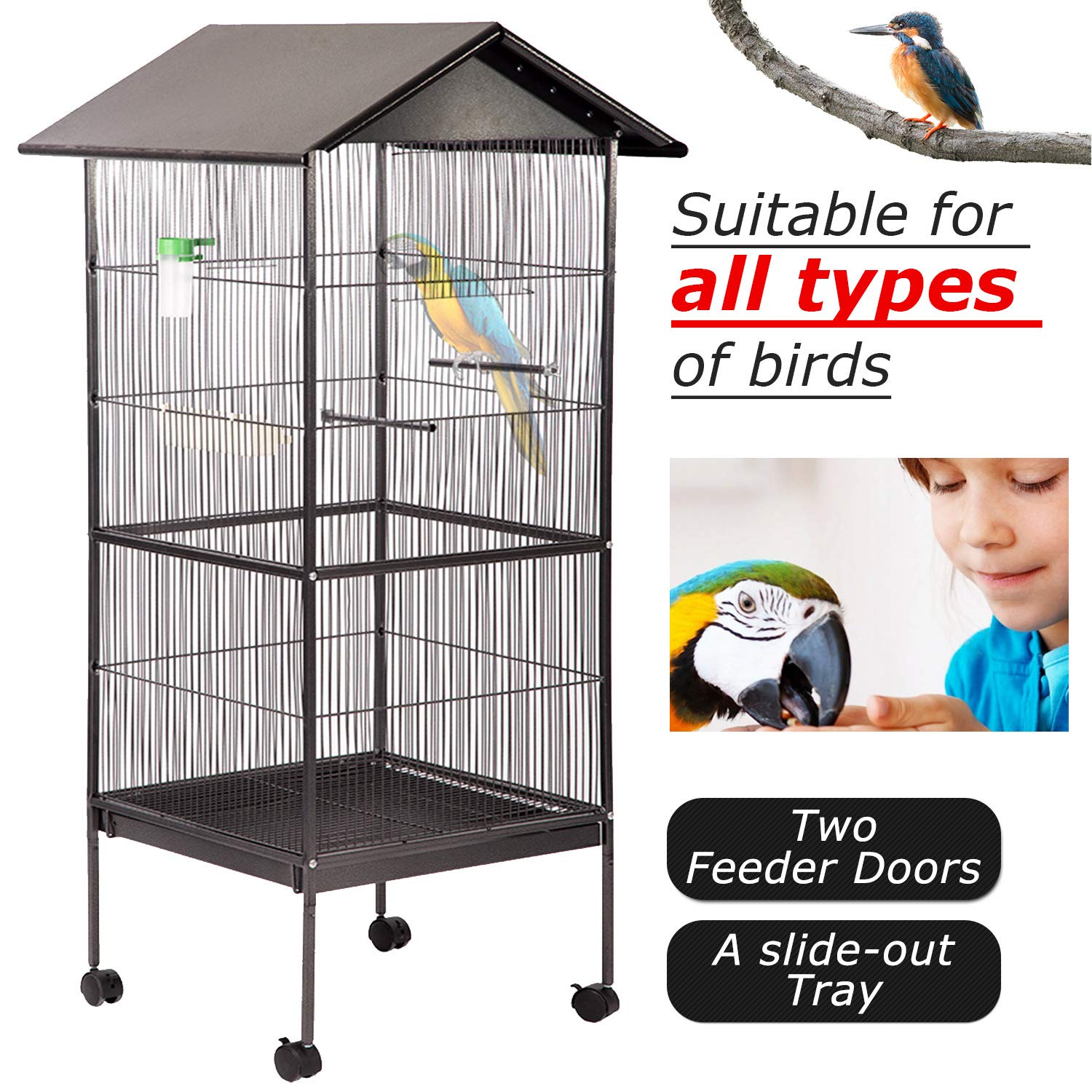 two bird cage