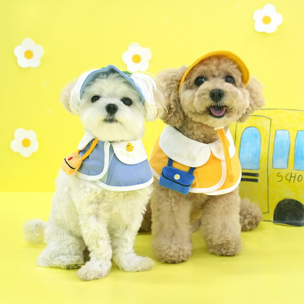 【ParisDog】幼稚園狗狗領巾含帽套裝 (寵物服飾 寵物配件)