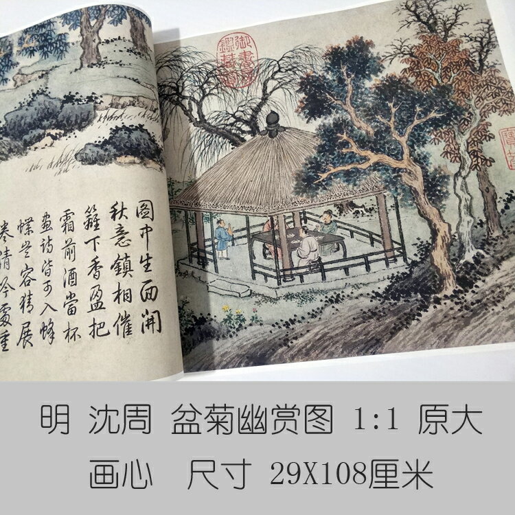 明沈周盆菊幽賞圖山水畫仿古畫真跡名畫復製品裝飾畫名人字畫書畫