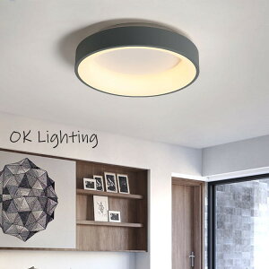 北歐 現代 灰色 LED 圓形 客廳 臥室 書房 餐廳 飯廳 創意 暖光 LED 吸頂燈