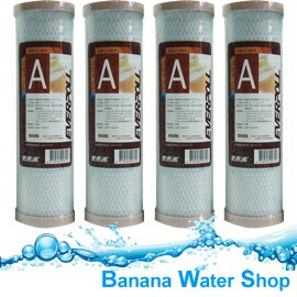 【Banana Water Shop】 EVERPOLL CTO 活性碳濾心 公司貨【 4支 】 EVB-C100A
