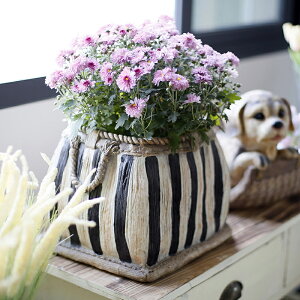 創意歐式花盆北歐風簡約植物多肉家居陽臺布置庭院裝飾桌面擺件