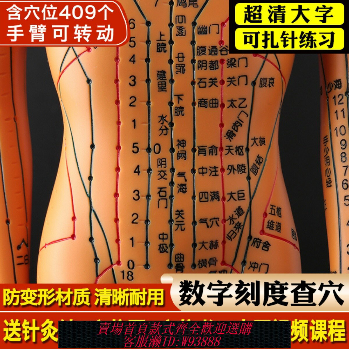 {臺灣公司貨 可打統編}政河中醫針灸穴位人體模型十二經絡圖銅人體穴位模型人全身小皮人