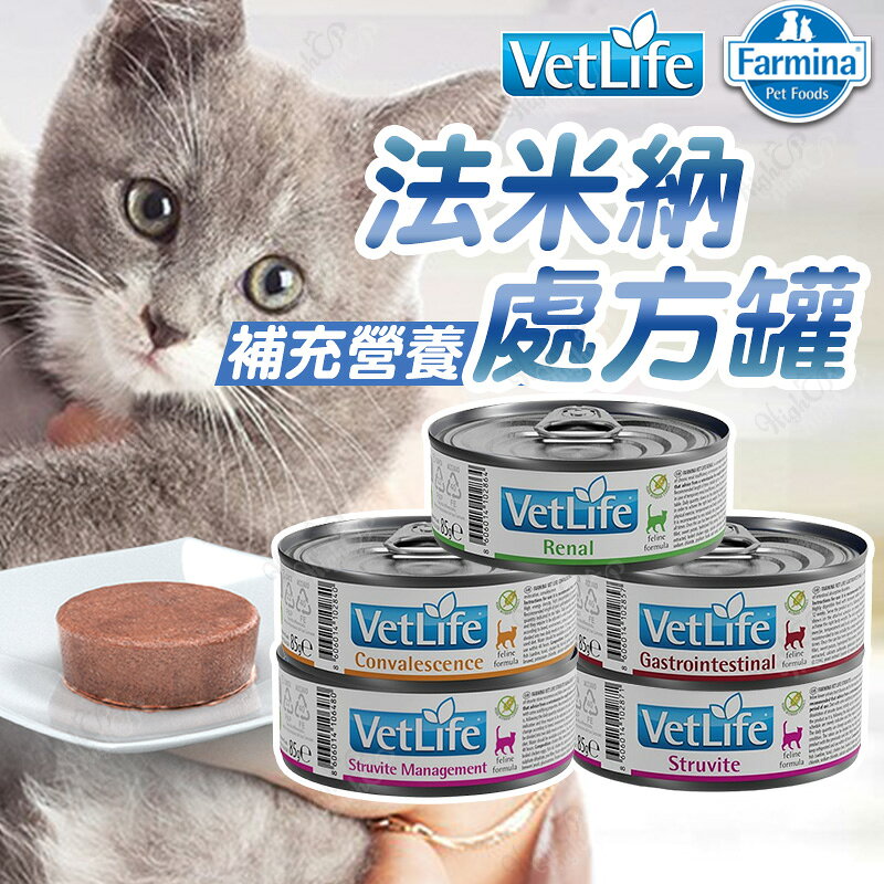 Farmina 法米納 處方罐 貓食品 貓罐頭 貓咪處方罐 法米納天然處方系列 貓咪罐頭 貓餐罐 85g【241211】