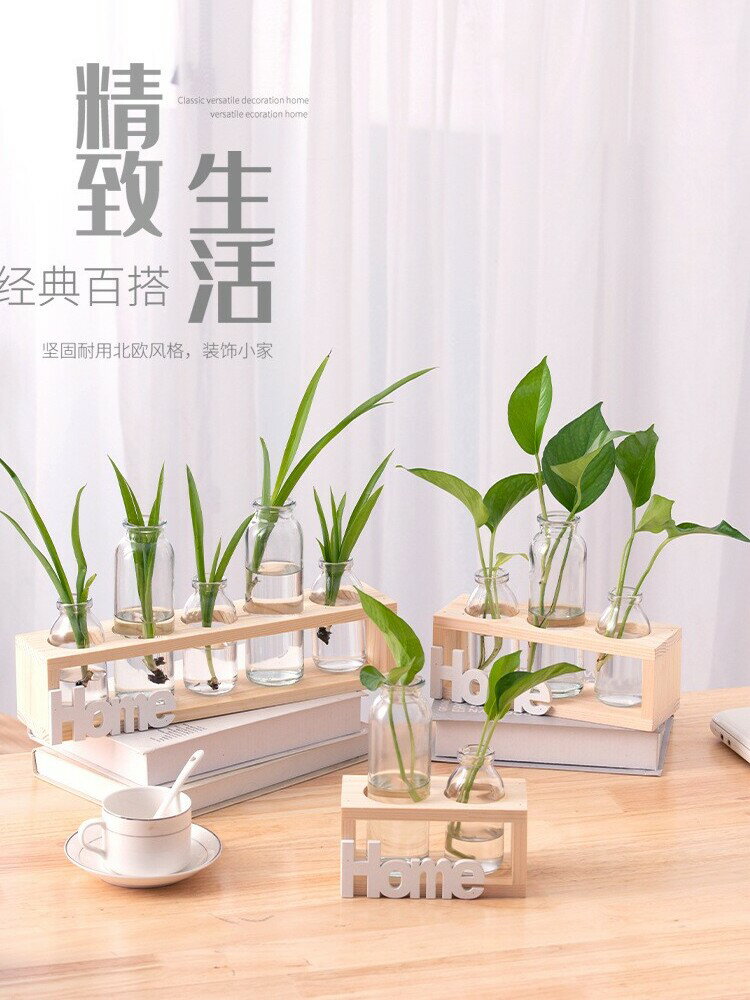 辦公室裝飾桌面擺件綠蘿水培植物水養花盆小清新客廳植物玻璃花瓶
