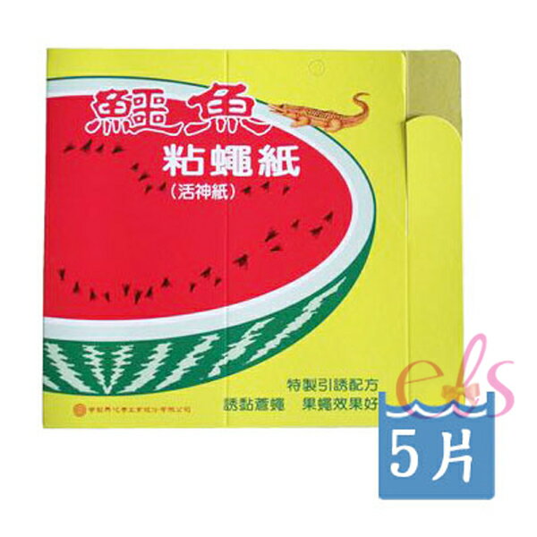 [$699免運] 鱷魚 黏蠅紙 活神紙 5片入 ☆艾莉莎ELS☆