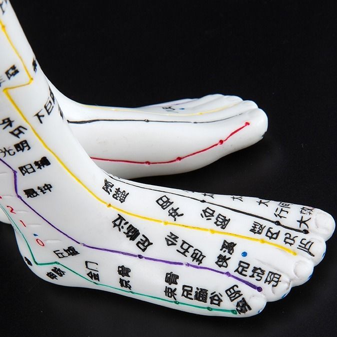 【最低價】【公司貨】人體模型中醫針灸穴位圖銅人男女全身十二經絡小皮人針灸穴位模型 5