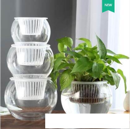 創意水培瓶植物透明玻璃花瓶容器綠蘿花盆魚花共養缸水養擺件器皿 名購居家