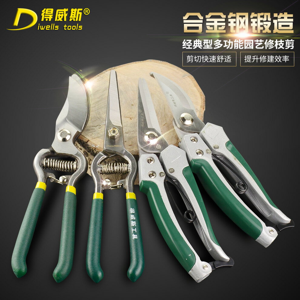 得威斯園藝剪刀8寸樹枝剪刀果枝剪園林剪園丁剪修花剪刀修枝剪刀