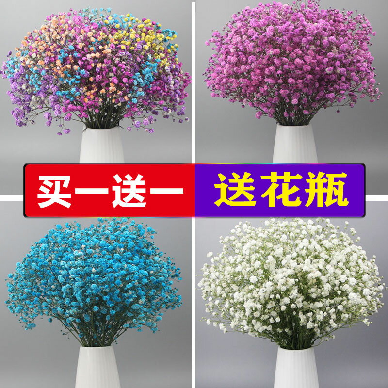 滿天星干花花束客廳擺設鮮插云南干花真花裝飾擺件小ins風干天然