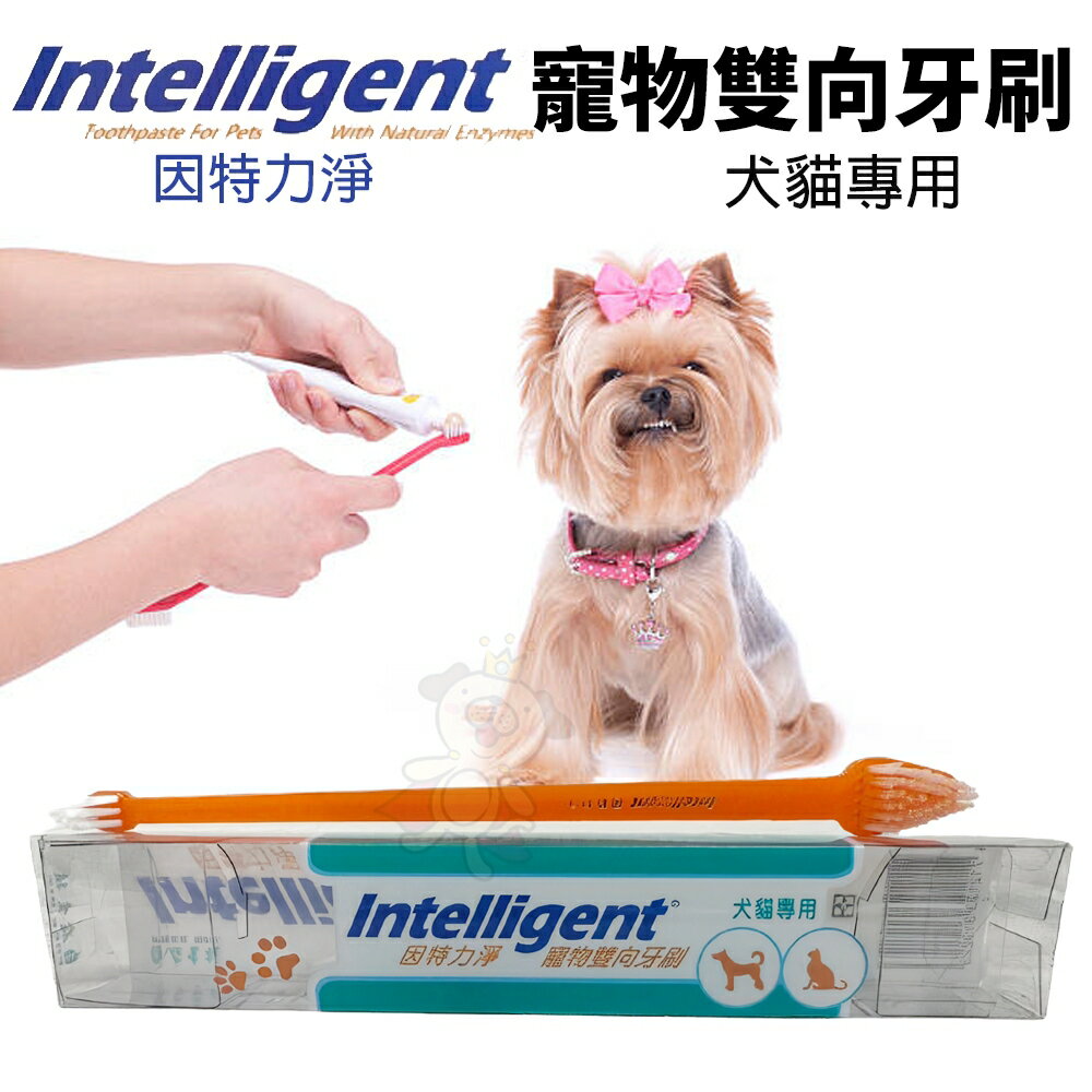 INTELLIGENT 因特力淨 寵物雙向牙刷 大小刷頭 寵物牙刷 犬貓專用『WANG』
