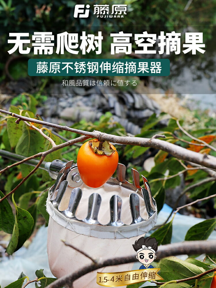 藤原不銹鋼摘果器枇杷棗柿子楊梅高空採摘器多功能摘果神器伸縮桿