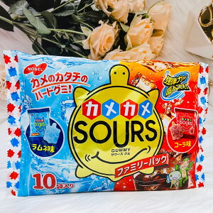 日本 NOBEL 諾貝爾製菓 SOURS 烏龜綜合軟糖 64g 大包裝 10小袋入 可樂/萊姆 個別包裝｜全店$199免運