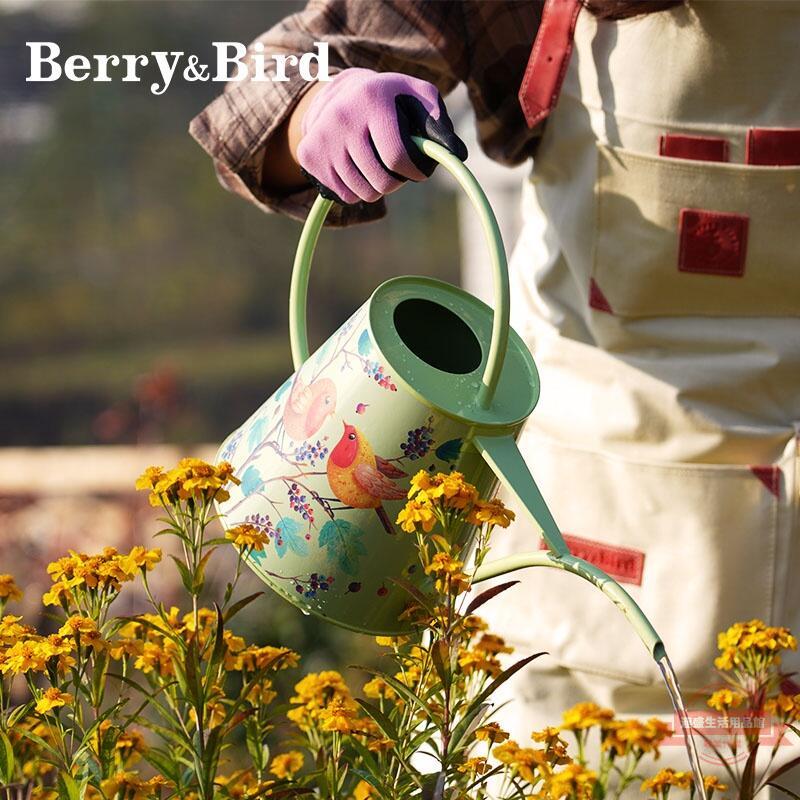 現貨熱銷Berry&Bird長嘴澆花水壺家用多肉灑水壺英國bb園藝工具端午節禮物