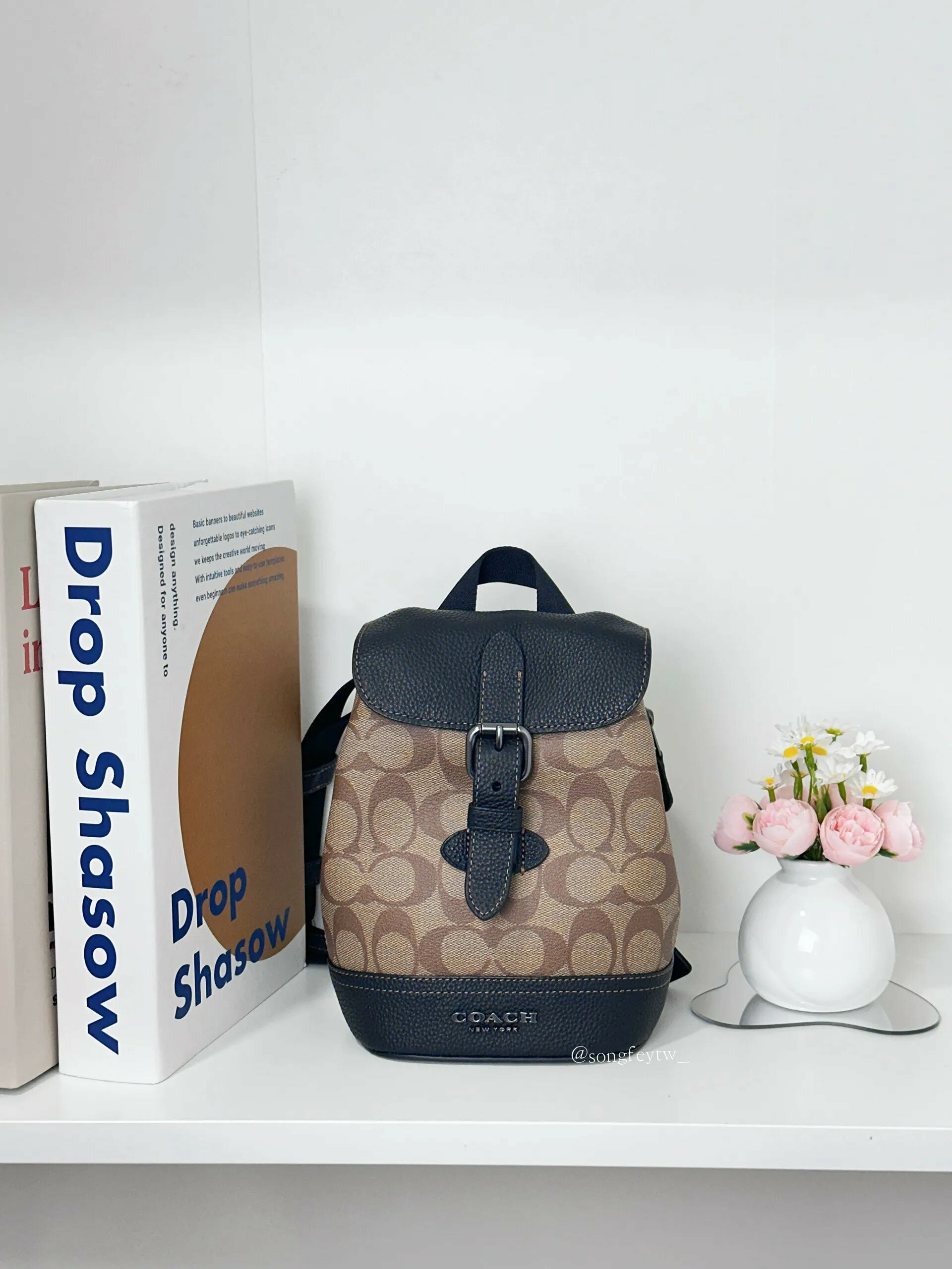 美國代購🇺🇸台灣現貨 Coach 後背造型胸包