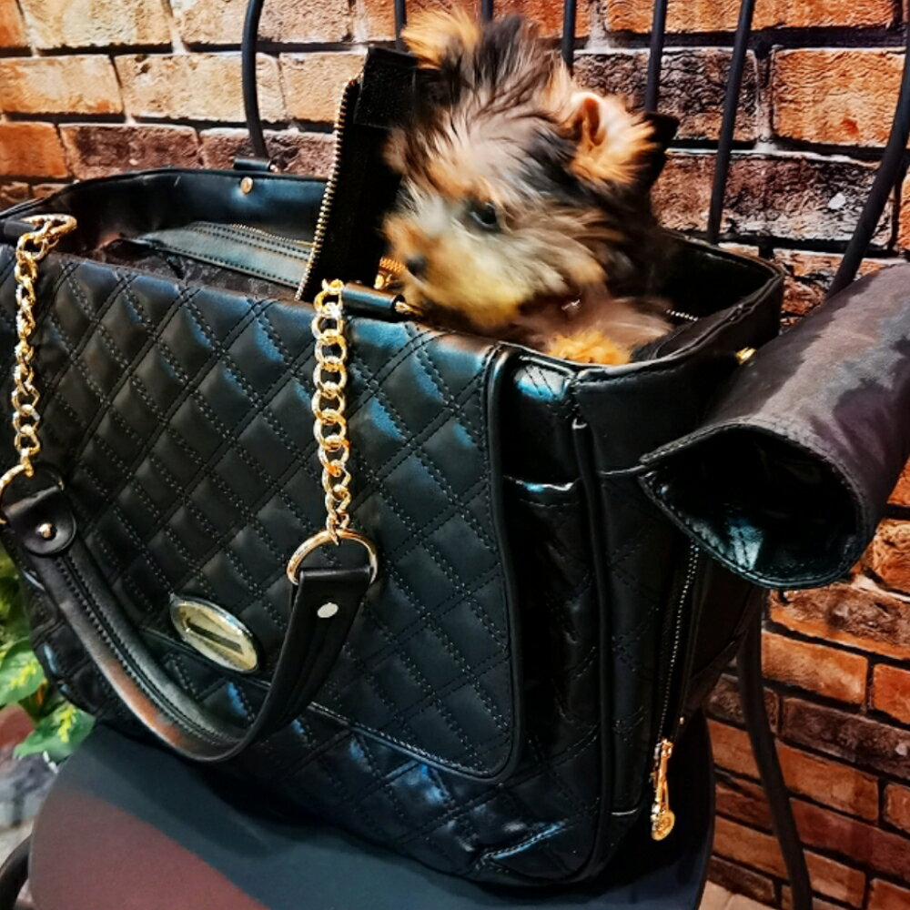 美麗大街 寵物箱包狗挎包貓咪手提包折疊透氣寵物提袋【109112017】