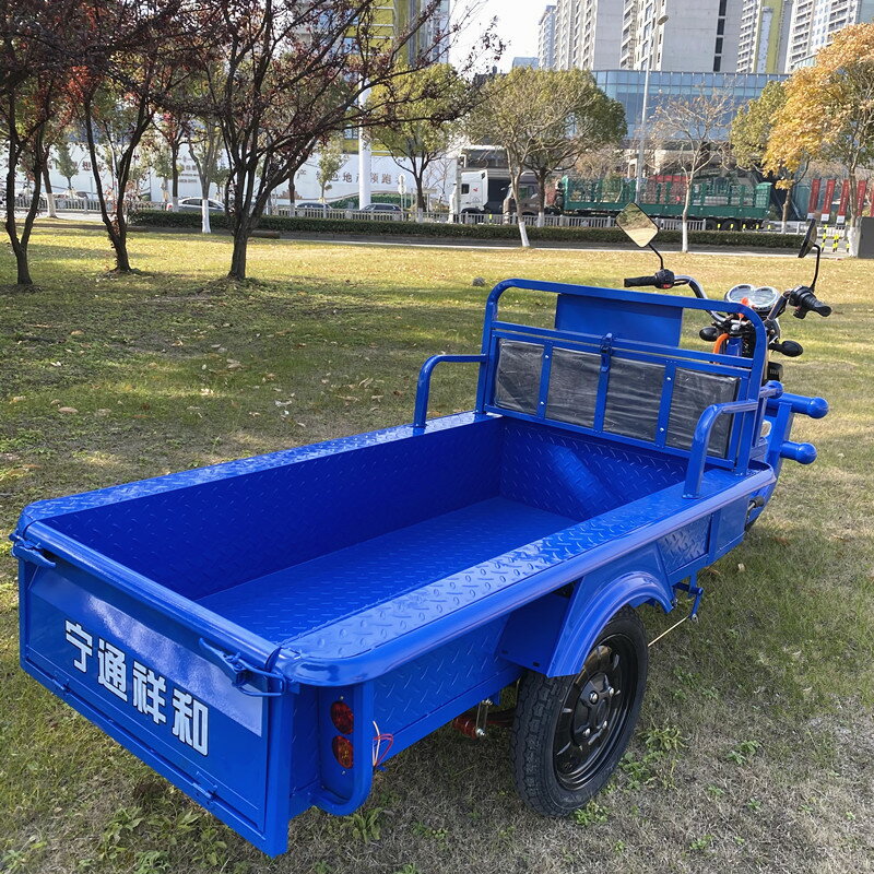 電動三輪車家用小型新款拉貨擺攤車平板車載重貨運電瓶車接送孩子