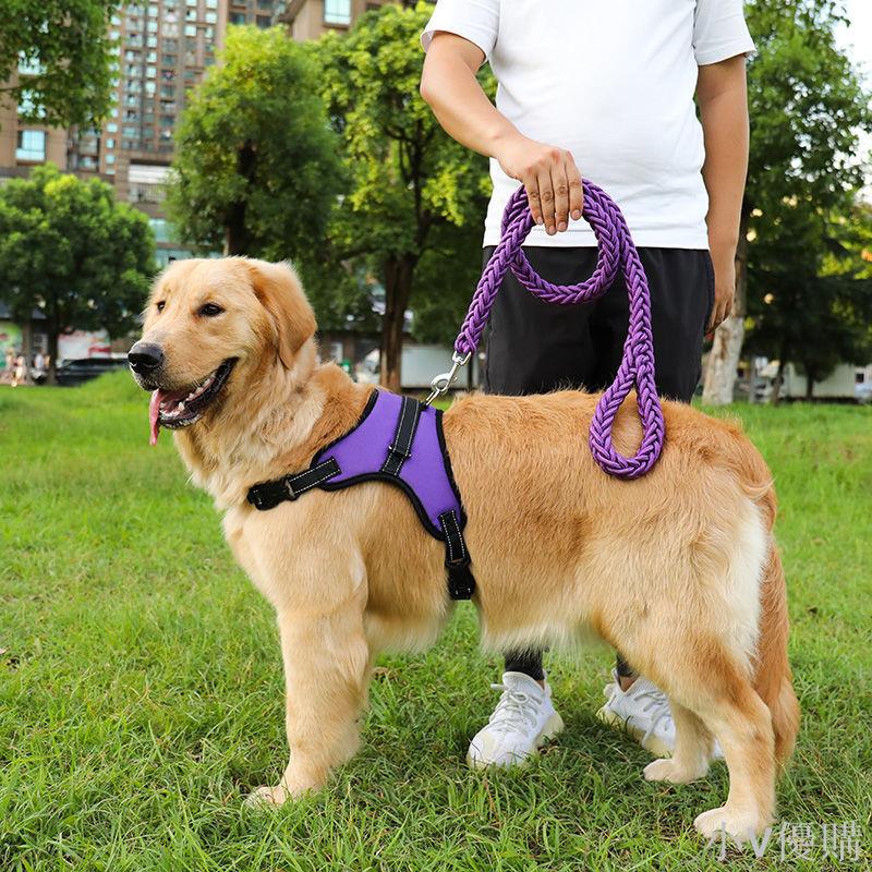 狗狗牽引繩胸背帶金毛拉布拉多中大型犬狗鏈子加粗八股狗繩防爆沖