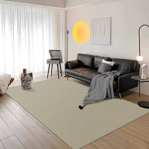 圈絨風地毯客廳茶幾毯簡約純色日式臥室床邊滿鋪家用地墊
