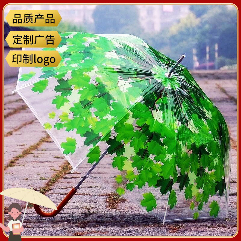 QIUTONG抗風綠蔭透明雨傘透明傘長柄傘自動創意雨傘包郵兩種傘型