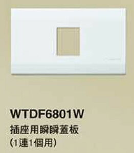【國際Panasonic】星光系列 WTDF6801W 一連一孔蓋板
