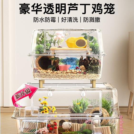 工廠直銷 蘆丁雞飼養箱 大號亞克力透明觀賞箱 造景箱 蘆丁雞室內保溫全套造景箱 寵物飼養箱新店開業 全館折扣 售後保障 優選/免運