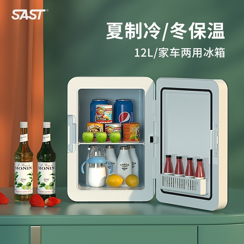 先科車載冰箱家用車用迷你小型冷暖箱便攜式小冰箱冷藏箱禮品批發【宜家良品百貨】