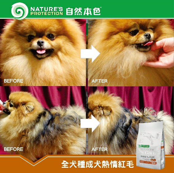 免運 自然本色 全犬種成犬熱情紅毛配方犬糧10kg 蝦紅素獨特配方犬糧紅毛色犬飼料狗飼料犬糧 深朵小舖