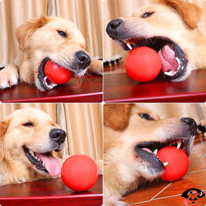 寵物狗玩具橡膠球耐咬巡回訓練 實心彈力球 泰迪金毛訓狗訓犬用品