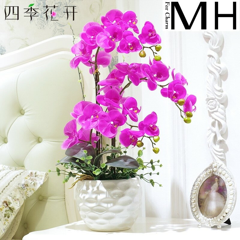 pu手感模擬花蝴蝶蘭套裝客廳假花擺件花藝裝飾蘭花盆栽玄關擺設