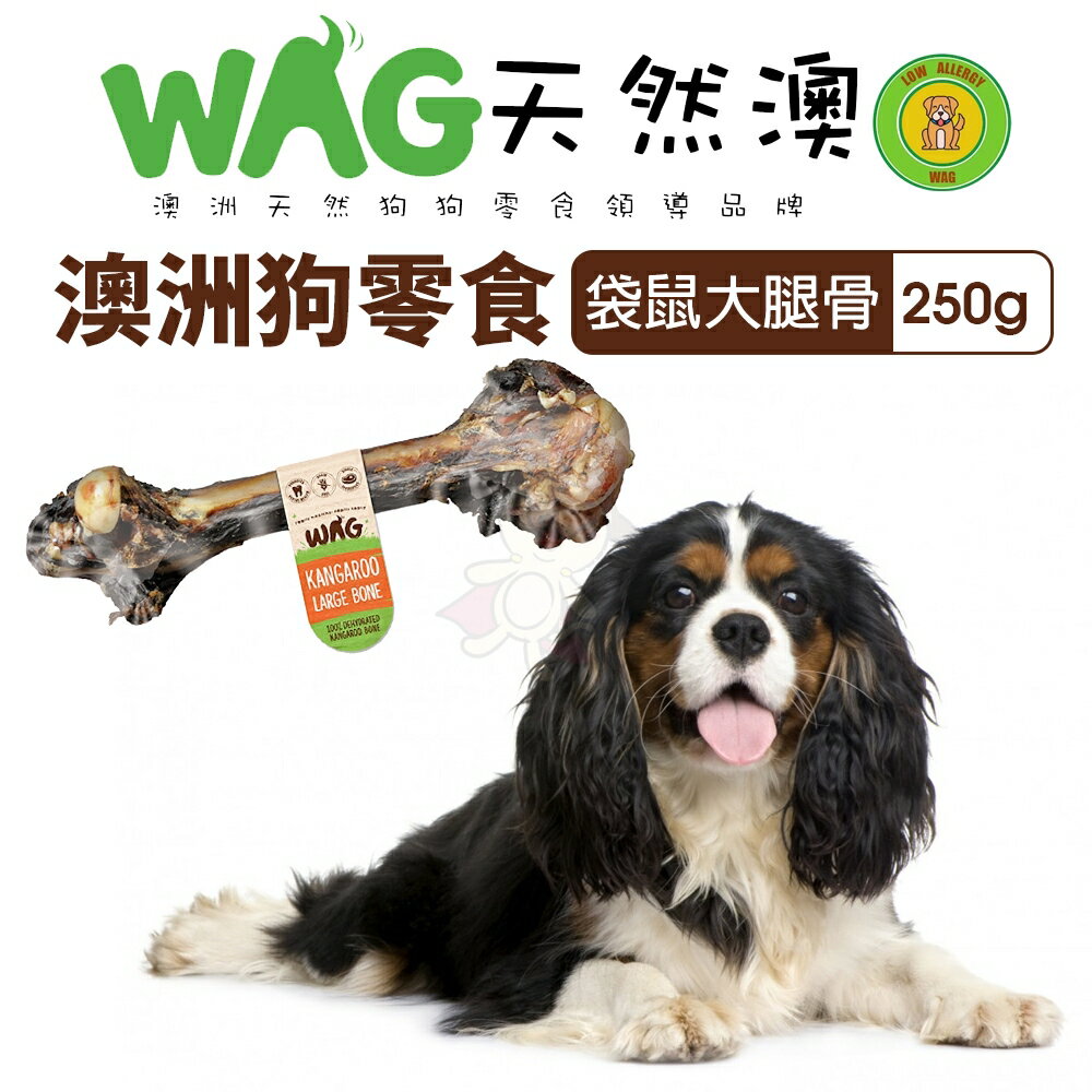 澳洲 WAG 天然澳 袋鼠大腿骨 |250g 潔牙骨 大腿骨 耐咬 耐吃 狗骨頭 狗零食『WANG』