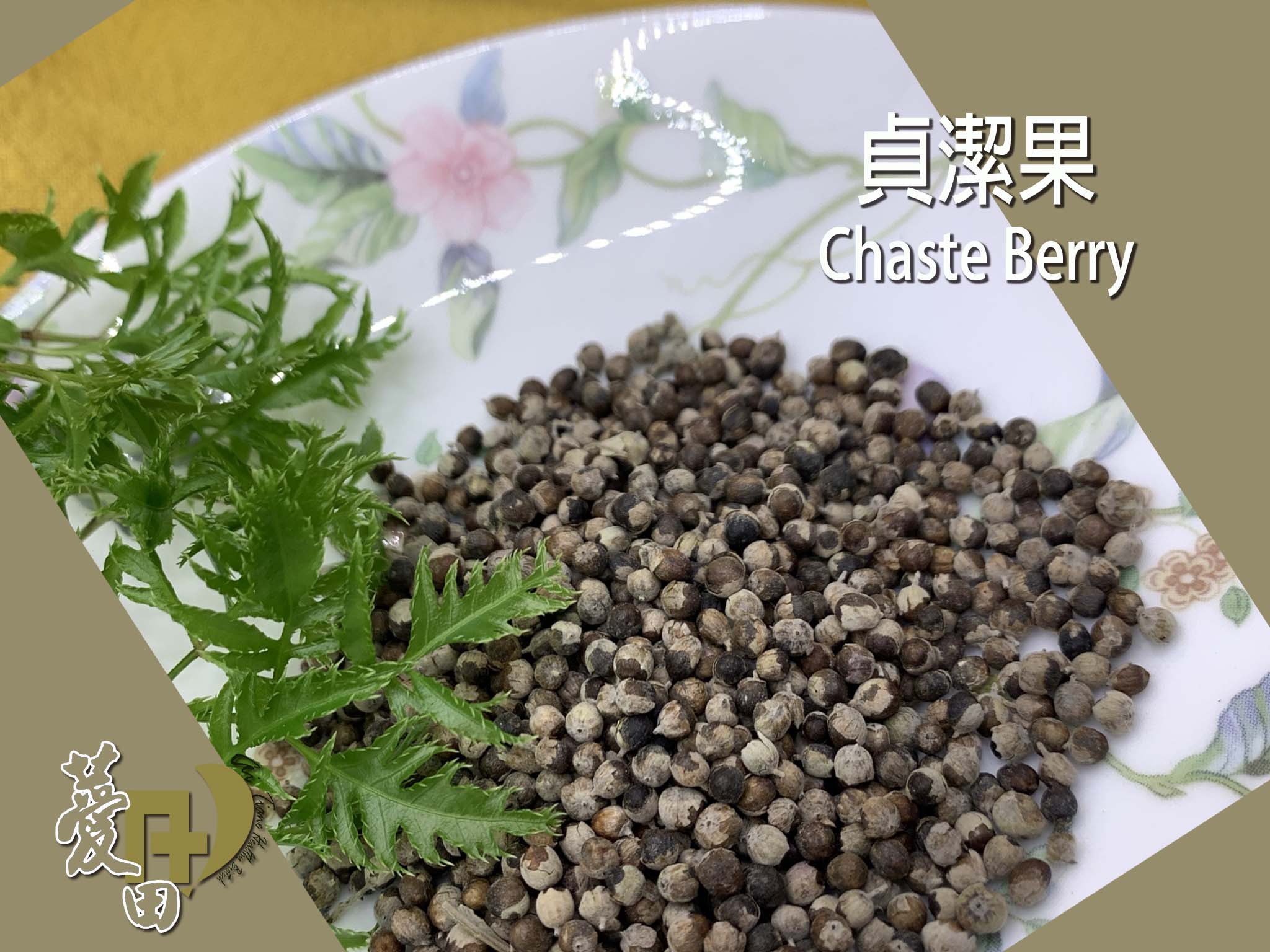 {薆田}貞潔果  Chaste Berry  乾燥花草 貞潔果純露 手工皂用 浸泡油材料 西洋花草 香料 花草茶 0