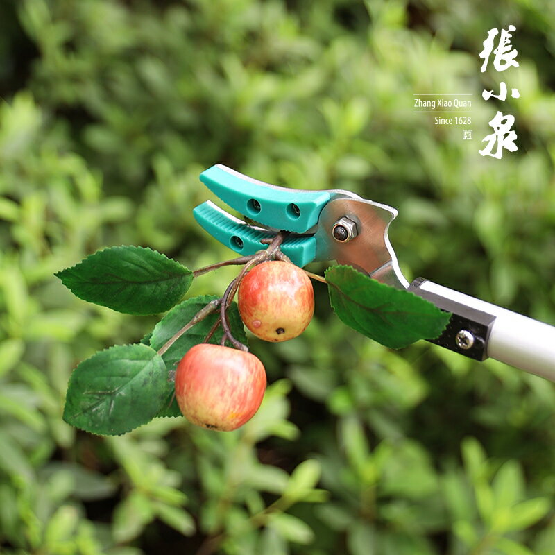 張小泉高枝剪伸縮槓高空剪摘果綠化粗枝鋸樹枝剪刀省力園林工具