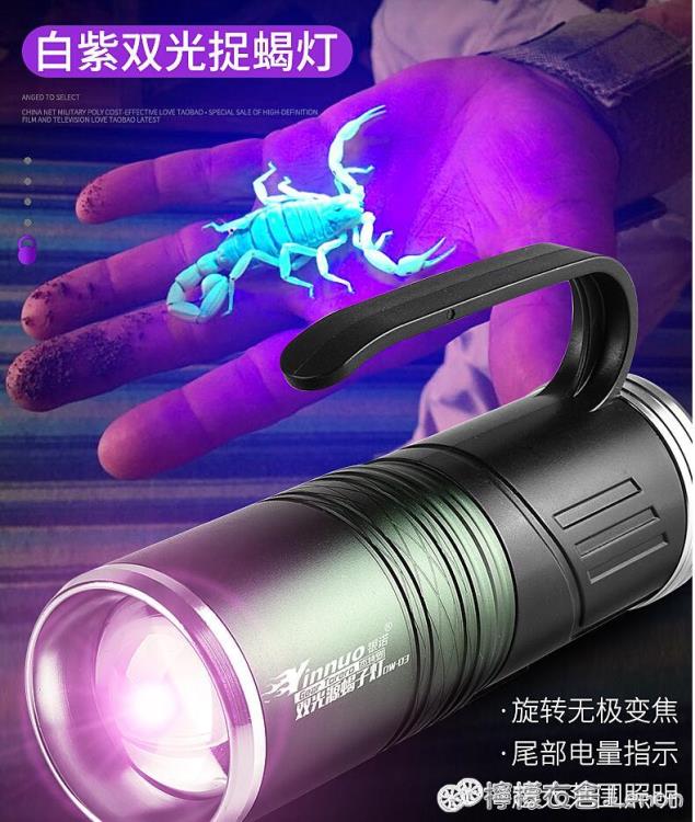 銀諾蝎子燈充電手提手電筒超亮戶外照逮捕抓捉蝎子強光紫光專用燈 全館免運