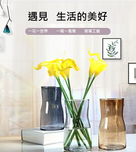 花瓶 花器 水培花瓶 簡約款水培插花花瓶 寬口設計