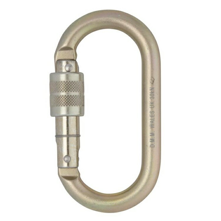 DMM 10mm Steel OVAL Screwgate Gold O型鉤環/高拉力O型環 C452 淡金色 1