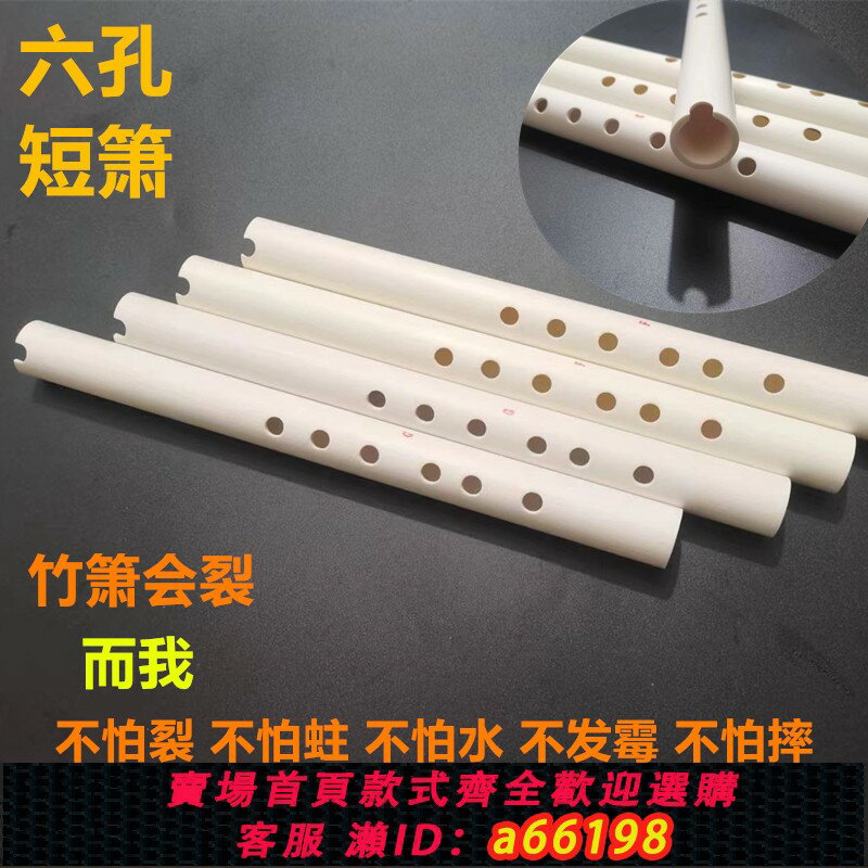 【臺灣公司 可開發票】洞簫便攜高級短蕭水管迷你小笛子六孔G調F調初學古風樂器豎吹短笛