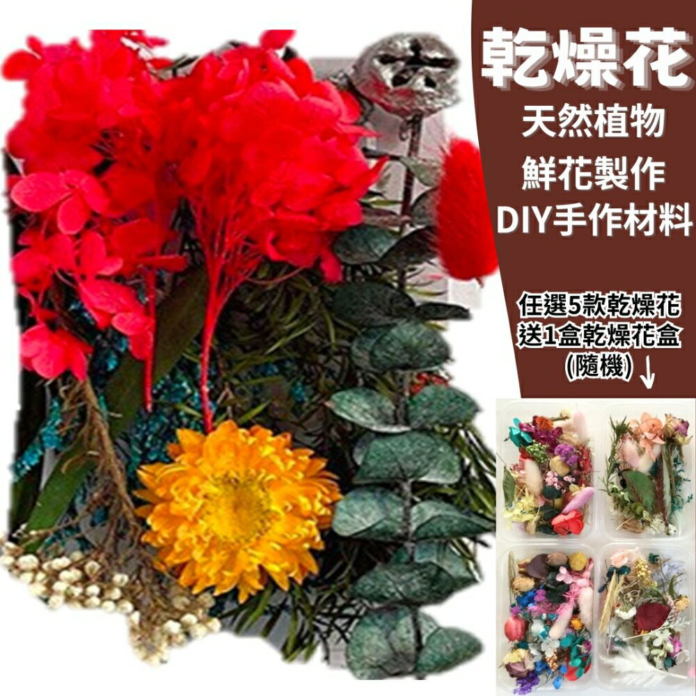 幫家裡聖誕佈置裝飾推薦聖誕樹及聖誕花圈到【A-ONE】天然乾果盒 火紅太陽 乾燥花盒 永生花 不凋花 DIY花藝材料 拍照道具 短枝 碎花 B03【領券滿額再折千12/31止】就在ALL SPLENDID推薦幫家裡聖誕佈置裝飾