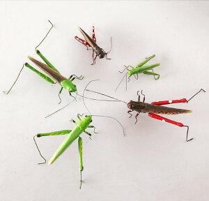 動物昆蟲模型 仿真螞蚱蝗蟲 磁鐵玩具攝影道具 裝飾場景布置