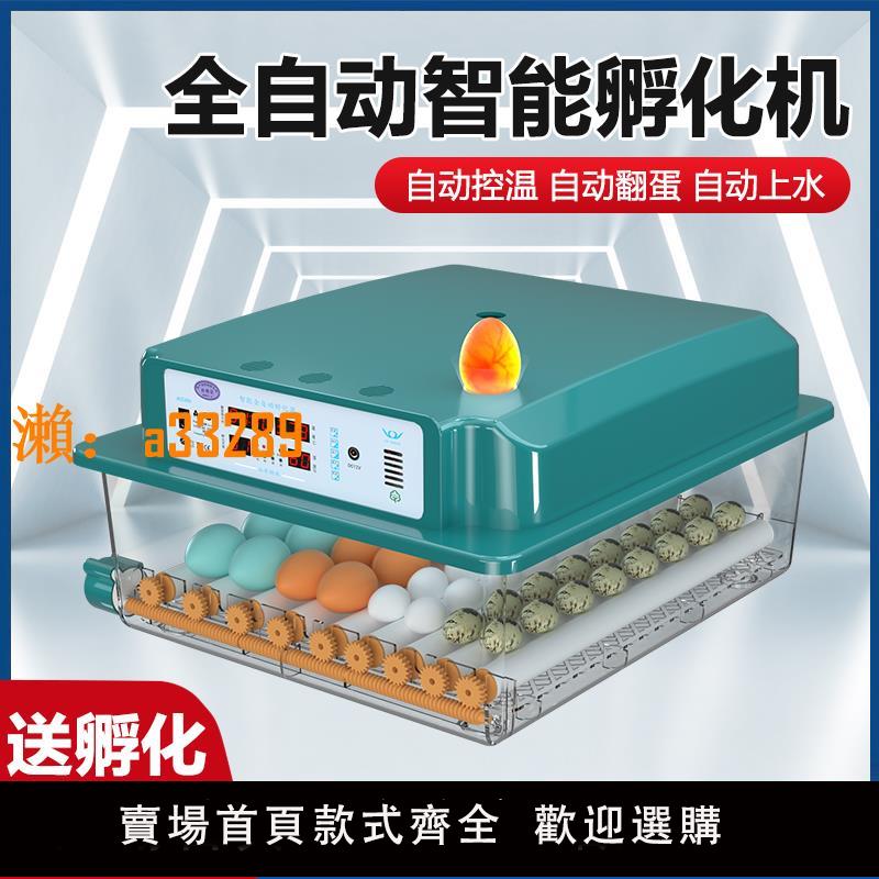 【保固兩年】孵化器小型家用智慧全自動孵化器雞鴨鵝鴿子蘆丁雞孵蛋器家用型
