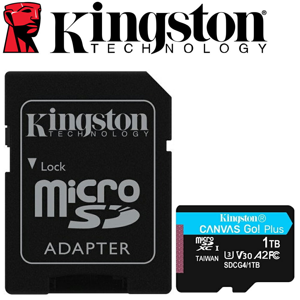 Kingston 金士頓 1TB microSDXC TF U3 V30 A2 記憶卡 SDCG4