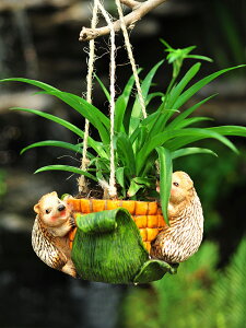 掛式創意小動物花盆烏龜刺猬花園庭院裝飾繩吊籃陽臺多肉養花用品