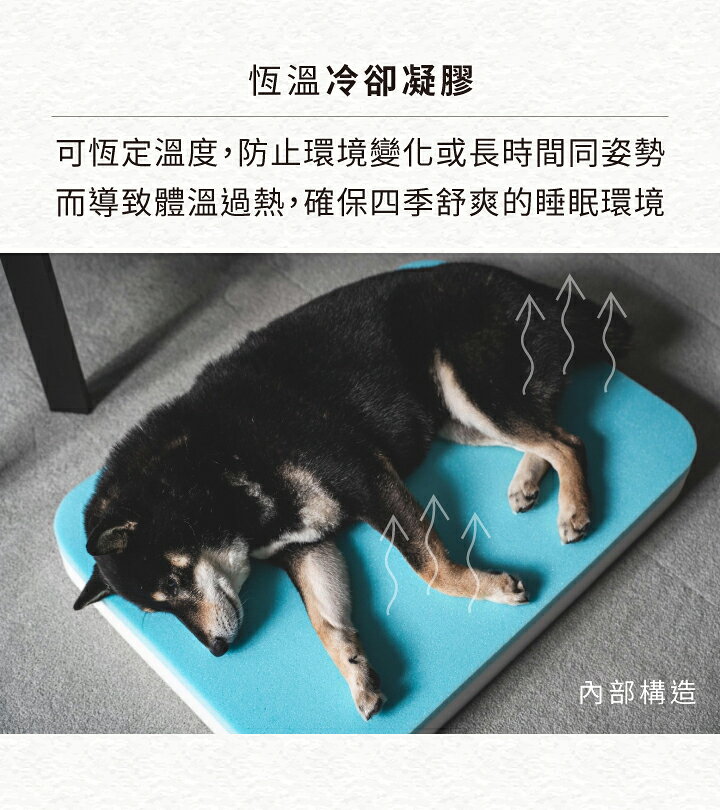 【澳洲EZYDOG】二合一 Calm Elite舒壓恆溫記憶寵物床(加價客製化側貼1片)｜記憶散熱層｜防水層｜四邊圓角包覆 窩 床 4