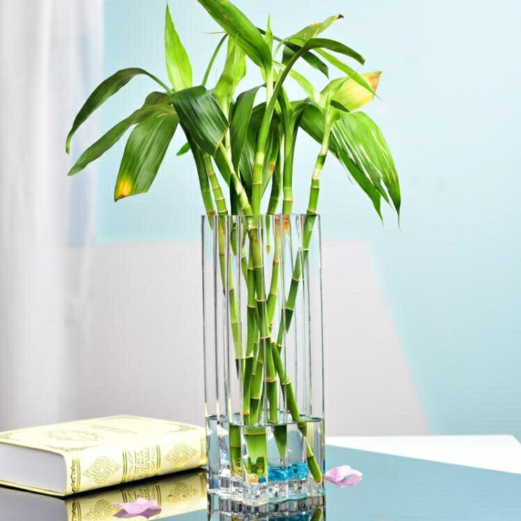 富貴竹花瓶大號玻璃水培方形花器客廳百合插花透明落地花瓶擺件 雙十二購物節