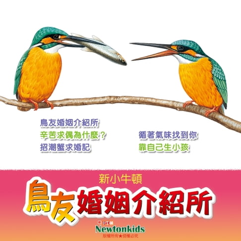 【有聲書】鳥友婚姻介紹所 0