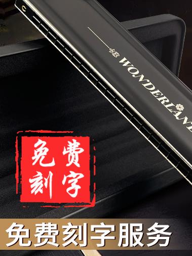 德國天鵝進口音簧28孔復音口琴成人12調別24孔專業演奏級樂器送禮