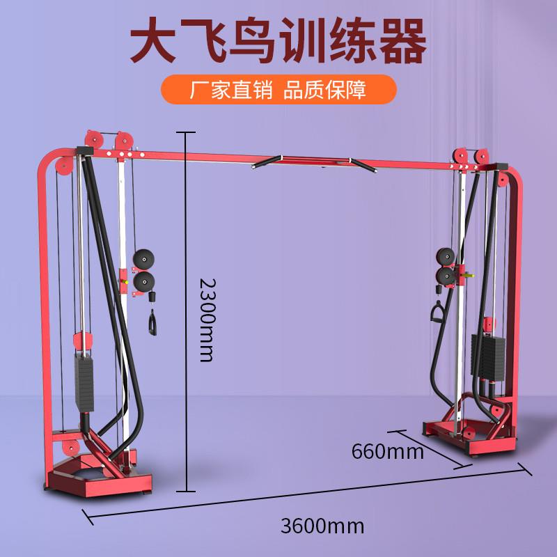 健身房器械大飛鳥龍門架多功能史密斯機深蹲架大型力量訓練器全套