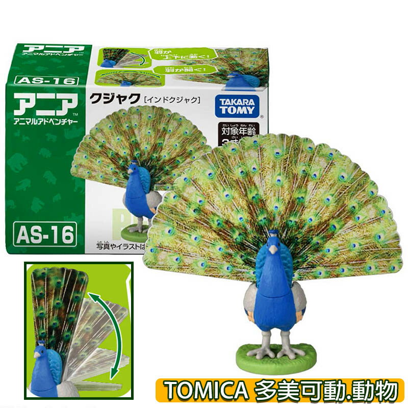 【Fun心玩】全新 正版 AN22536 AS-16 孔雀 多美動物 ANIA 可動 動物 認知教育 模型 玩具