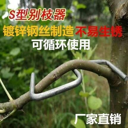 【可開發票】果樹彎枝器 定型夾彎枝夾m型別枝器s扣開角器拉枝器 園林農用園4534
