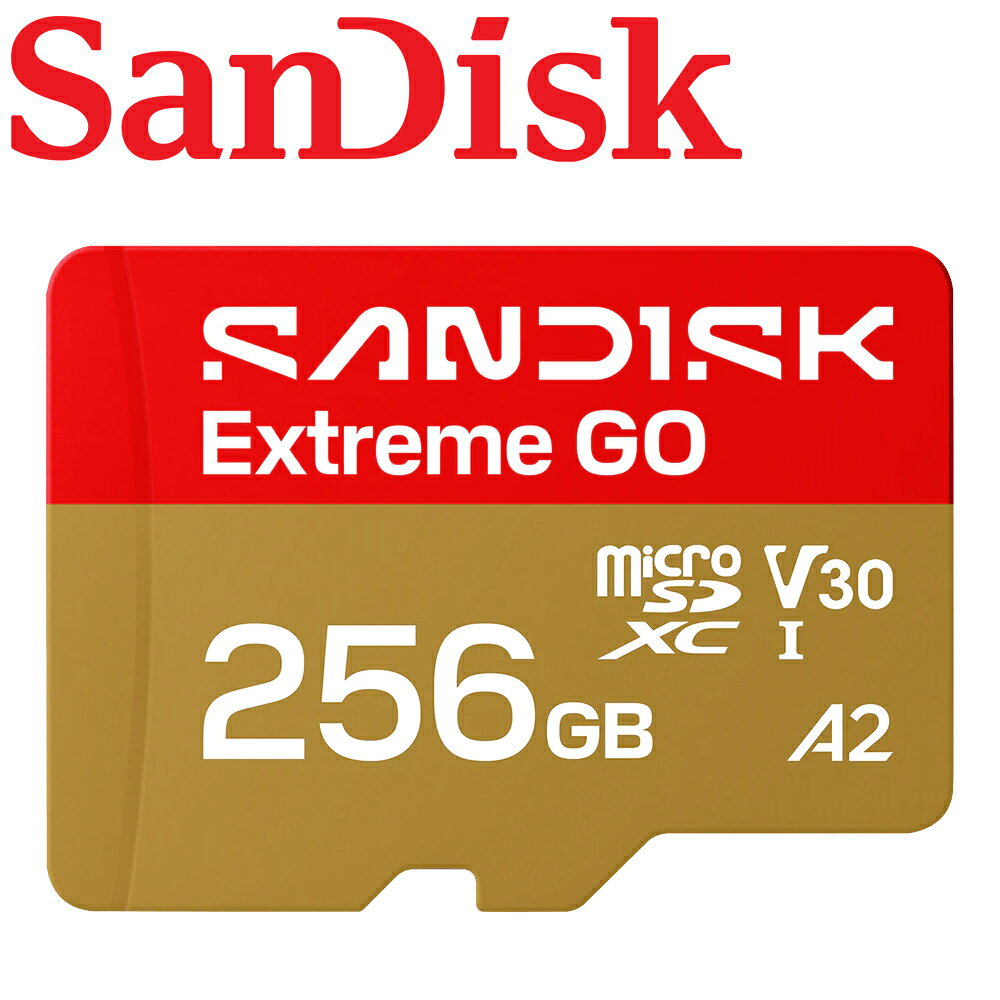 【公司貨】SanDisk 256GB Extreme GO microSDXC TF USH-I U3 V30 A2 記憶卡